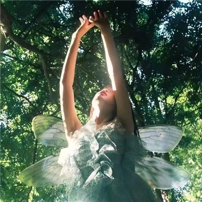 沈总你养的金丝雀变凤凰了